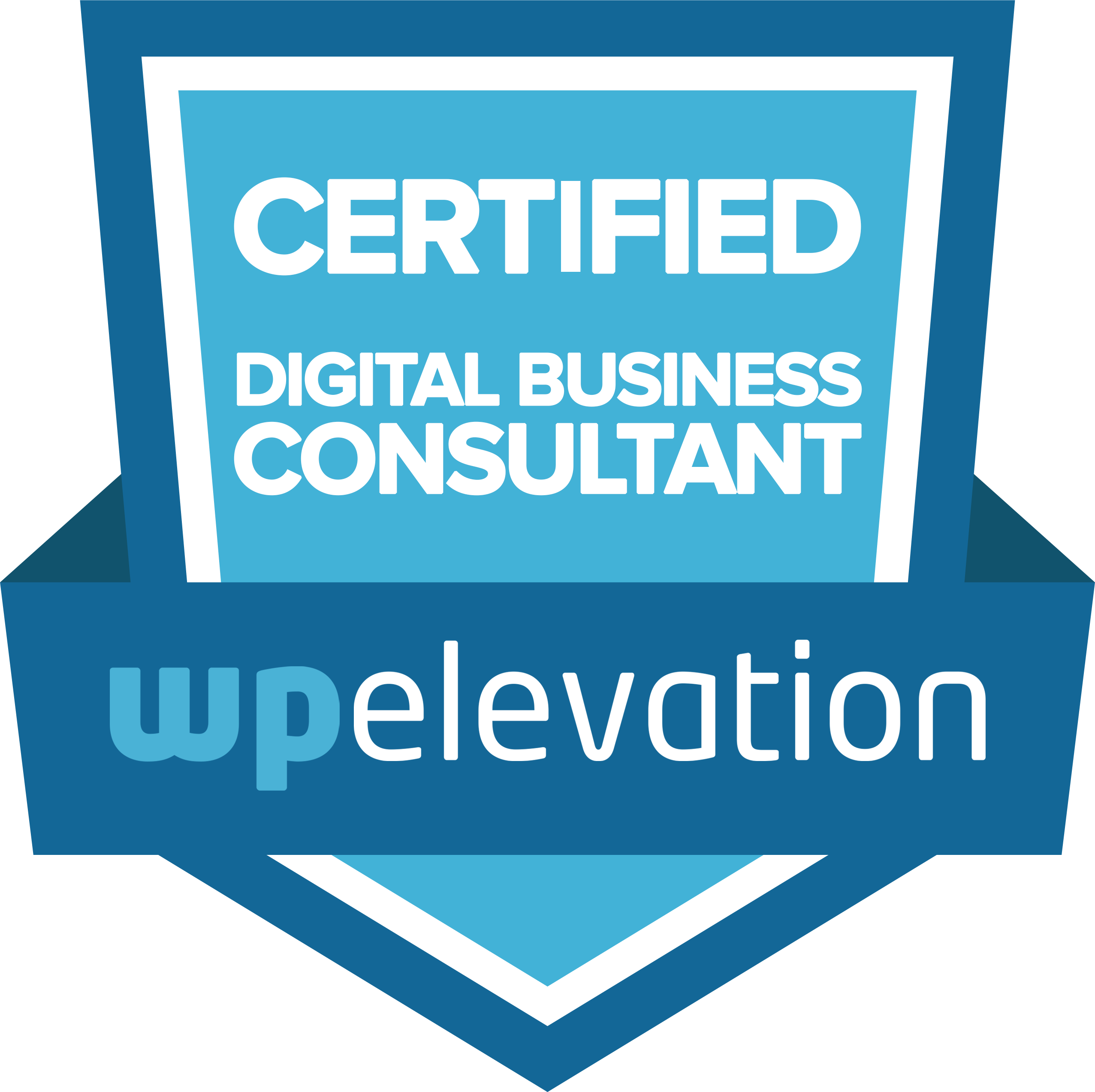 Certified Digital Business Consultant